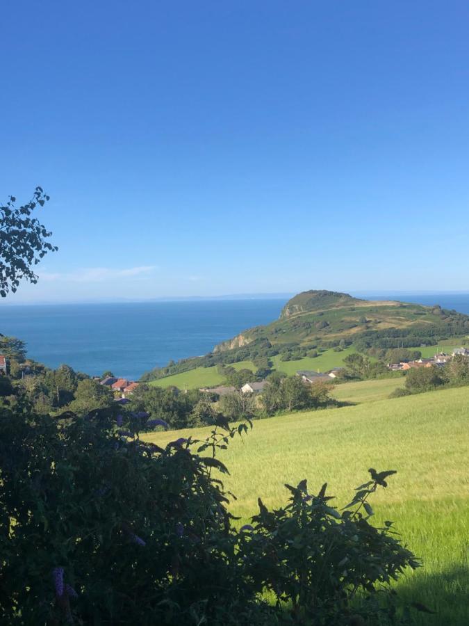 Ilfracombe Apartments Exteriér fotografie